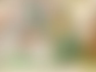 Eslavos orientales ¡Rusia en sus orígenes!