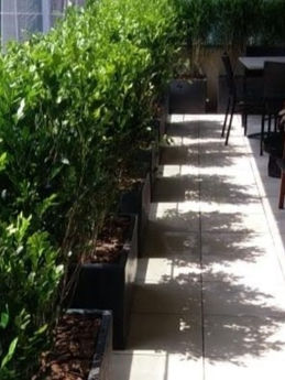 Varanda com Vasos de Plantas