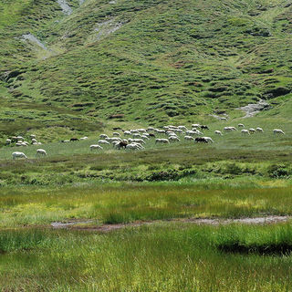 12 - Haute Vallée Garonne - Uls.jpg