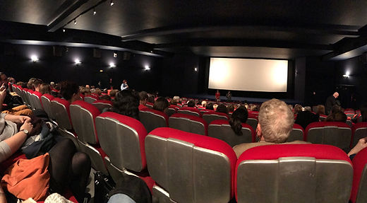 HDP_cine-débat.jpg