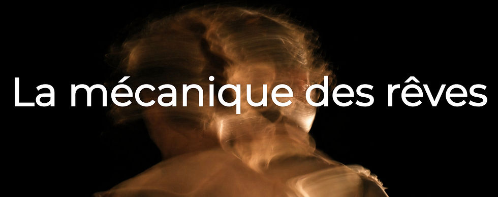 Silouhette d'un visage de femme en arrière plan