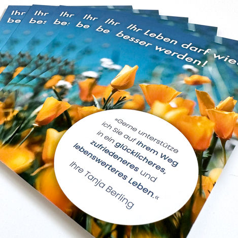 Ansicht der aufgefächerten Flyer.