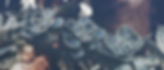 Succulents_edited.jpg