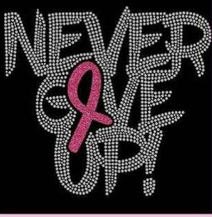 Never Give Up Rhinestone Transfer