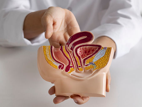 Combating Adrenal Cortical Cancer with Cannabis: Breaking New Ground