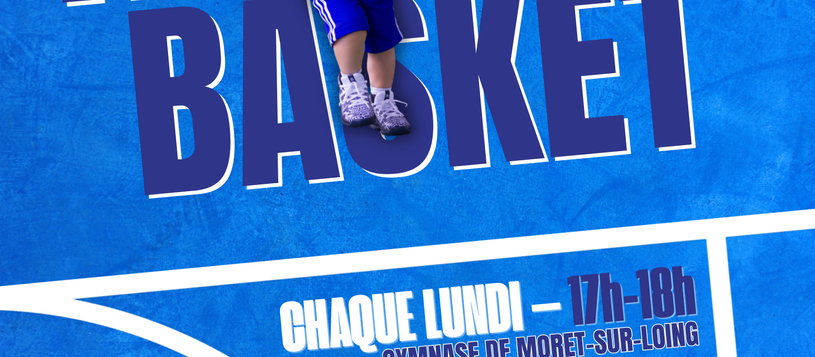 LANCEMENT DU MICRO-BASKET
