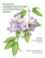 CAPA CALENDARIO 2026