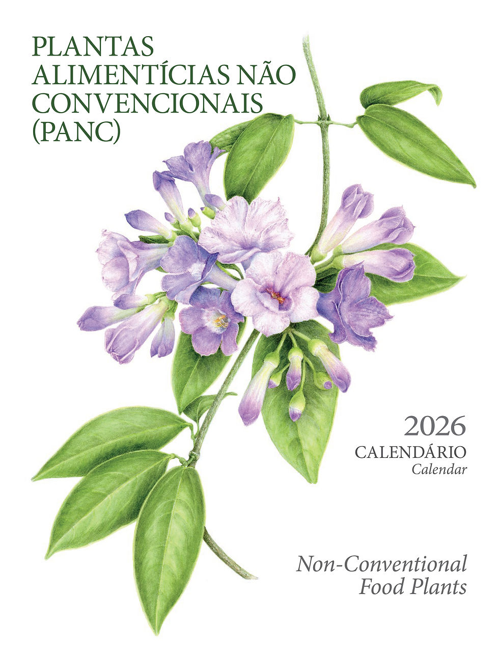 CAPA CALENDARIO 2026.jpg