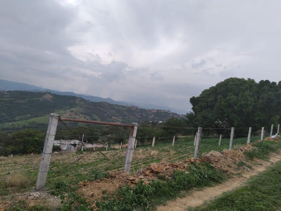 Miniatura: Ixtapan de la Sal Terreno en Venta