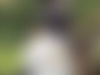 What if the secret to business growth lies beneath the surface?