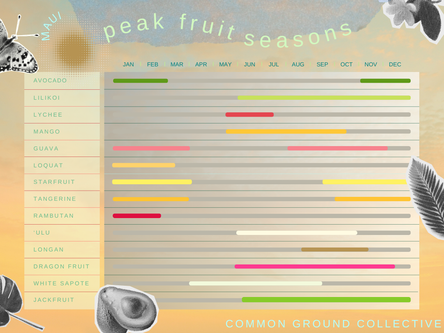 Exploring Maui's Bounty: A Guide to Local Fruit in Season and Where to Find It
