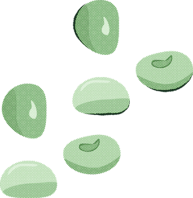aodaizu