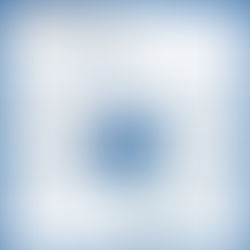 December 2023 - Market Action Report