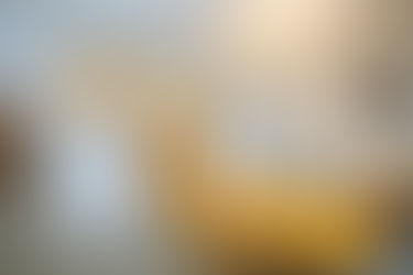 SOLD | New Listing Alert! 915 S Pacific Street is a Great Starter Home in the Wonderful Community of Newberg, Oregon