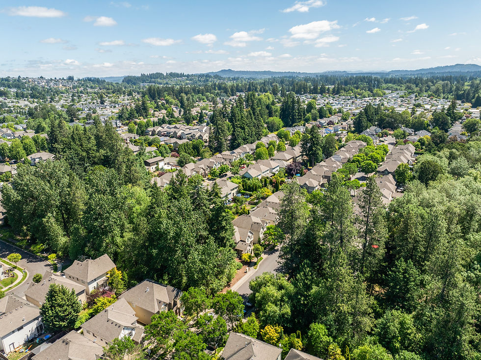 Aerial view of a leafy suburban neighborhood with many houses, tall trees, and a bright blue sky with scattered clouds.