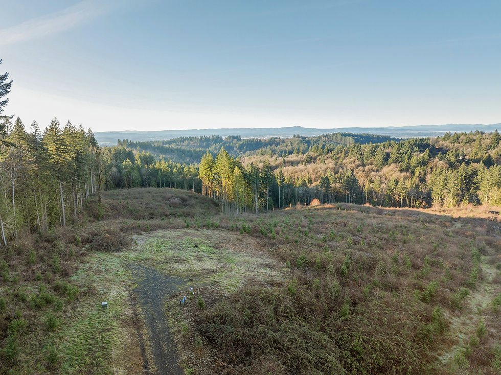 A Legacy Opportunity: Land for Sale in Portland, OR