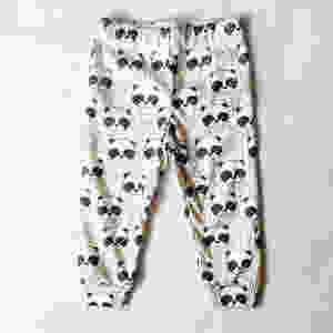 panda.jpeg
