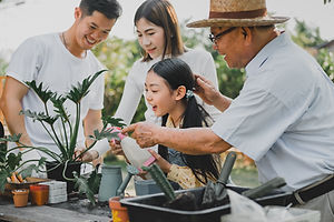 shutterstock_1863979447.jpg
