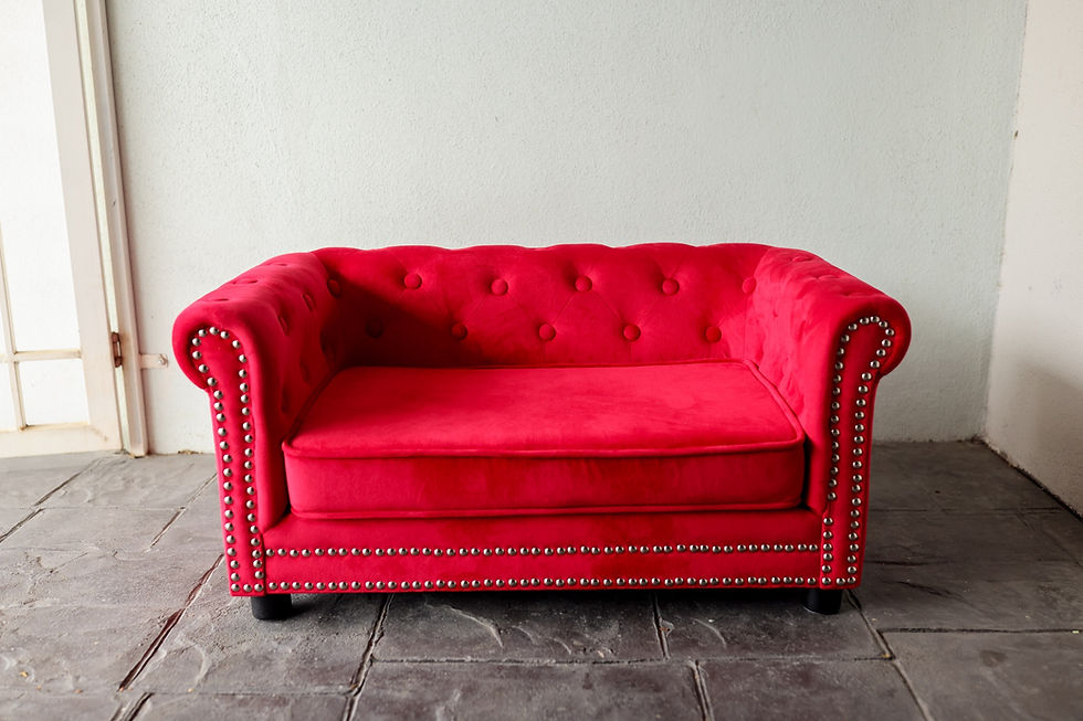 Thumbnail: Dream Velvet Pet Sofa