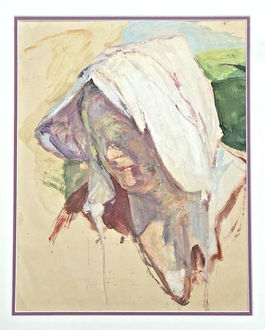 Jules Pierre van Biesbroeck (1873–1965)