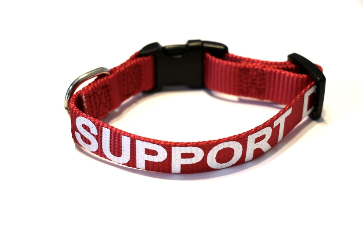 Support Dog Collar | All Access Canine