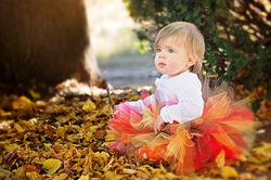 Naperville Photographer