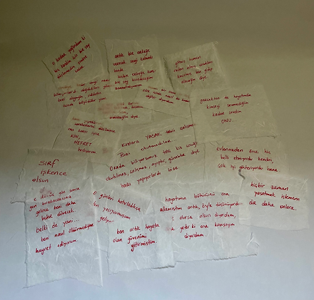 öyle işte, kurtulmuştum artık -Art installation inspired by Mor Çatı Women’s Shelter Foundation's domestic, sexual abuse vict