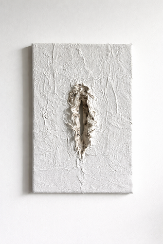 Vulva #09_2024_35x24_in situ.png