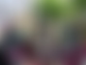 IRAPUATO VIVE UN DOMINGO LLENO DE CULTURA CON EL FESTIVAL CERVANTINO