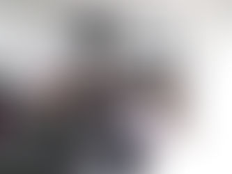 LANZAN SISTEMA DE INFORMACIÓN SOBRE USO DE SUELO EN IRAPUATO