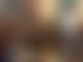 APRUEBA IRAPUATO PRESUPUESTO RESPONSABLE, TRANSPARENTE Y DE RESULTADOS