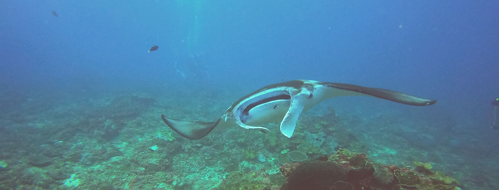 GOPR3779_1708586969391_edited.jpg