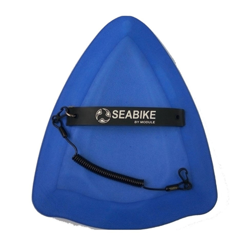 Miniature : Kickboard : Swim Wing