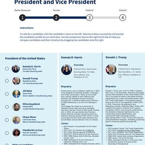 Digital Ballot Interface Design
