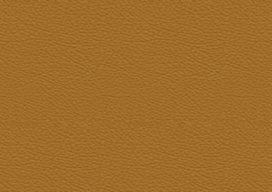 leather04.jpg