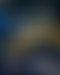 2026.02.22(sun)@新宿SAMURAI「うてばひびく×シュチニクリン」