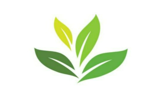 Writer: New Leaf Mental Health PLLC