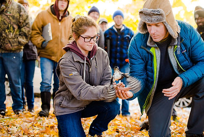 Bird Catching 20181017_0075.jpg