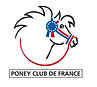 poney club_edited.jpg