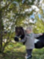 Envie de profiter du soleil ? Nous vous accueillons pour des balades poneys 🙂 Du lundi au