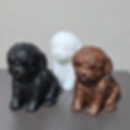Detailed Dog