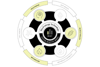 There’s a new formula for targeted nutrition — here's what it does for key metabolic pathways .