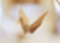 1%20of%201000%20paper%20cranes!_edited.jpg