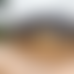 "Hands on History" History Week 2022