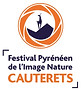 logo festival de l'image