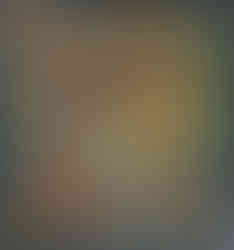 “La volée rieuse” - Évoque la joie, la spontanéité et la légèreté du groupe d’oiseaux.