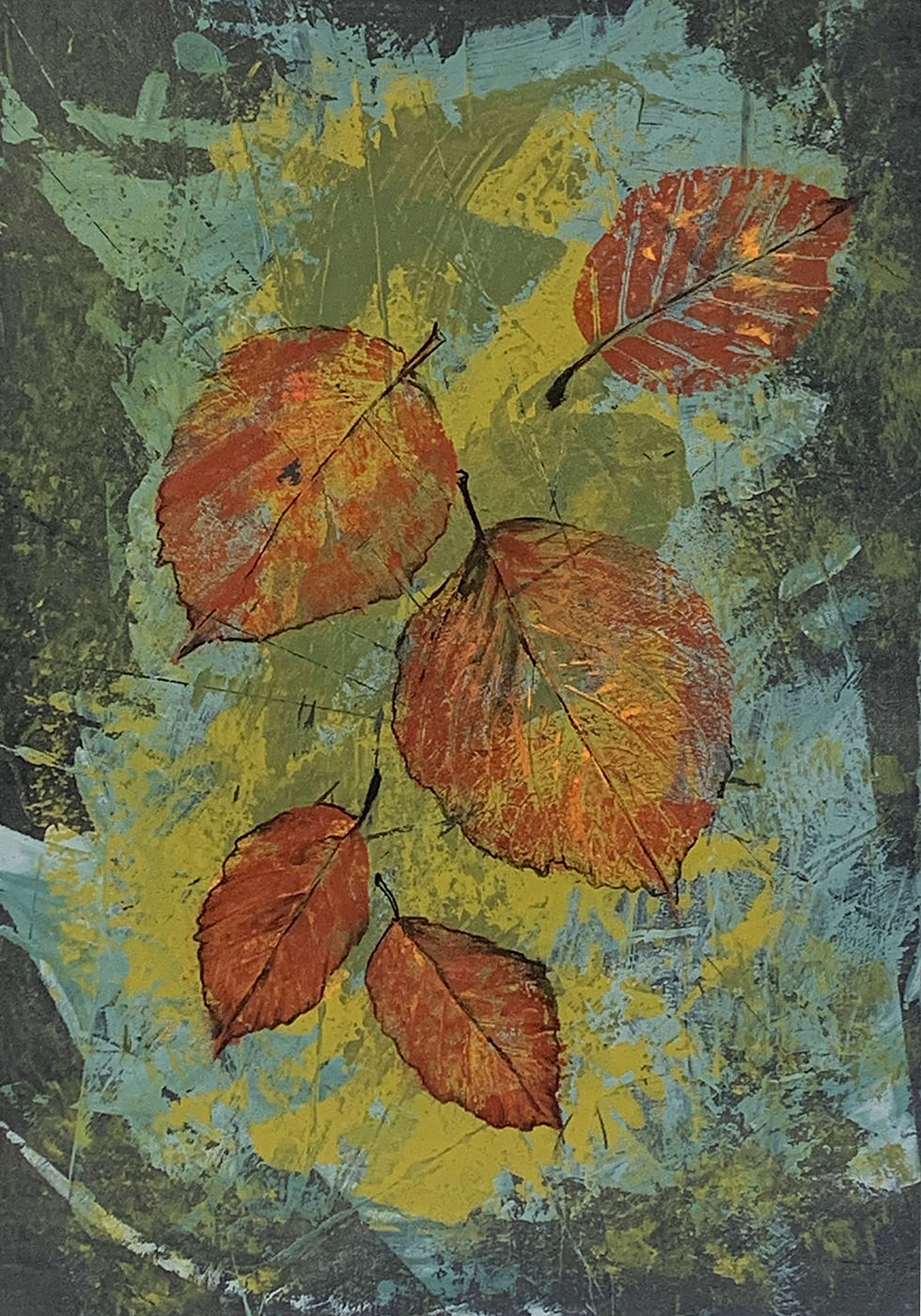 - Série Biodiversité