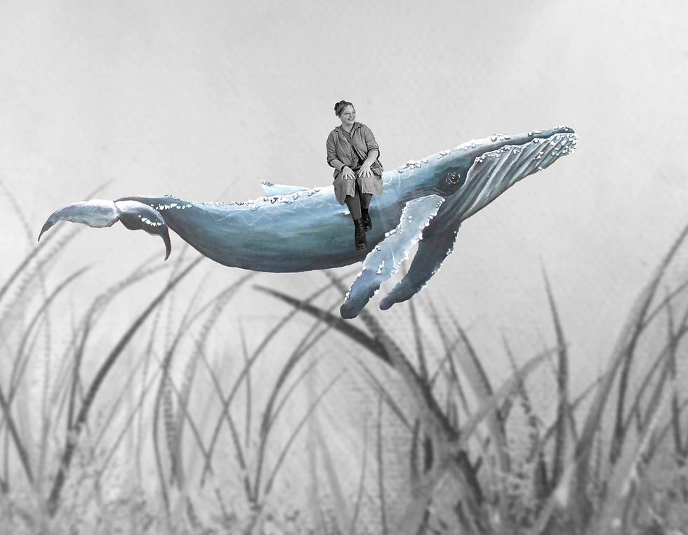 Unbenannt banner_edited.jpg