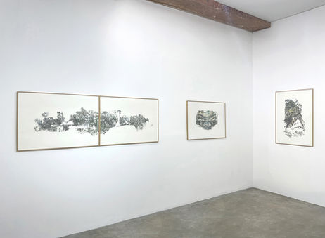 Hélène Muheim, dessins