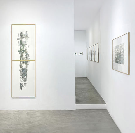 Hélène Muheim, dessins